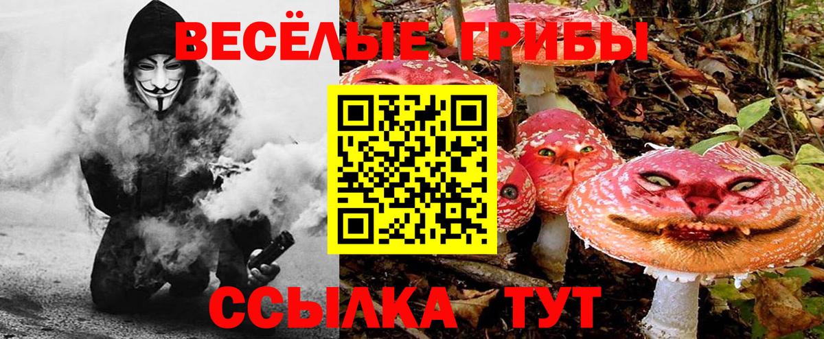 Галлюциногенные грибы GOLDEN TEACHER  Вход с VPN  Псилоцибиновые грибы ЛСД  Саранск 